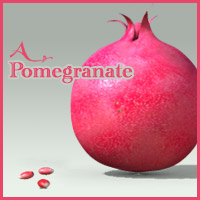 Pomegranate prop+seed Freebie